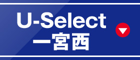 U-Select{