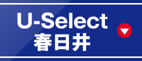 U-Selectt