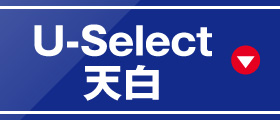U-SelectV
