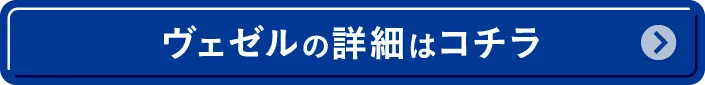 F[̏ڍׂ̓R`
