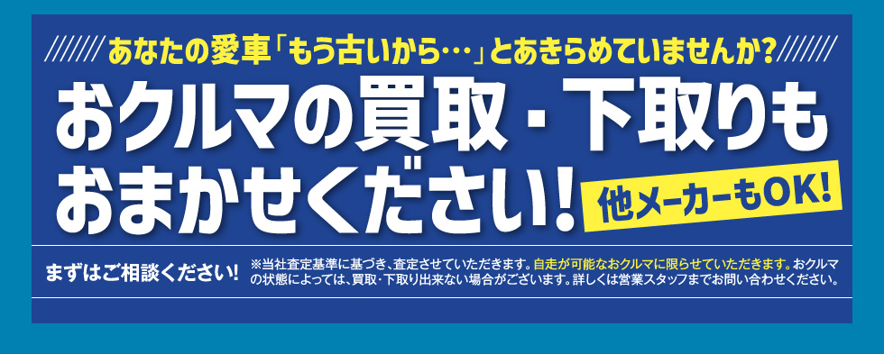 ���N���}�̔���E���������܂������������I�I