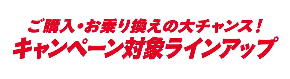 �L�����y�[���Ώۃ��C���A�b�v