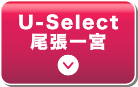 U-Select {