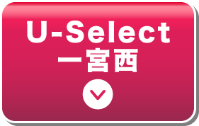 U-Select {