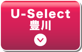 U-Select L