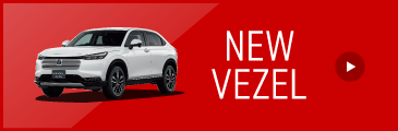 VEZEL