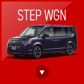 STEPWGN