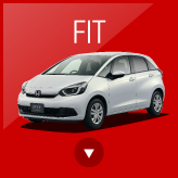 FIT