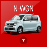 N-WGN
