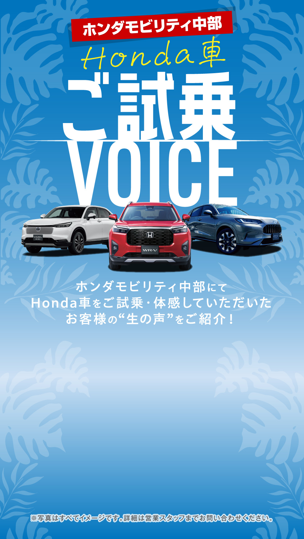 z_reB HondaԂVOICE
