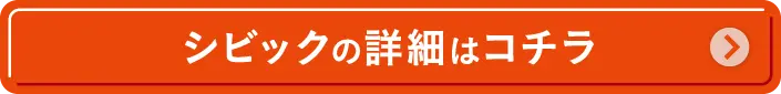 VrbN̏ڍׂ̓R`