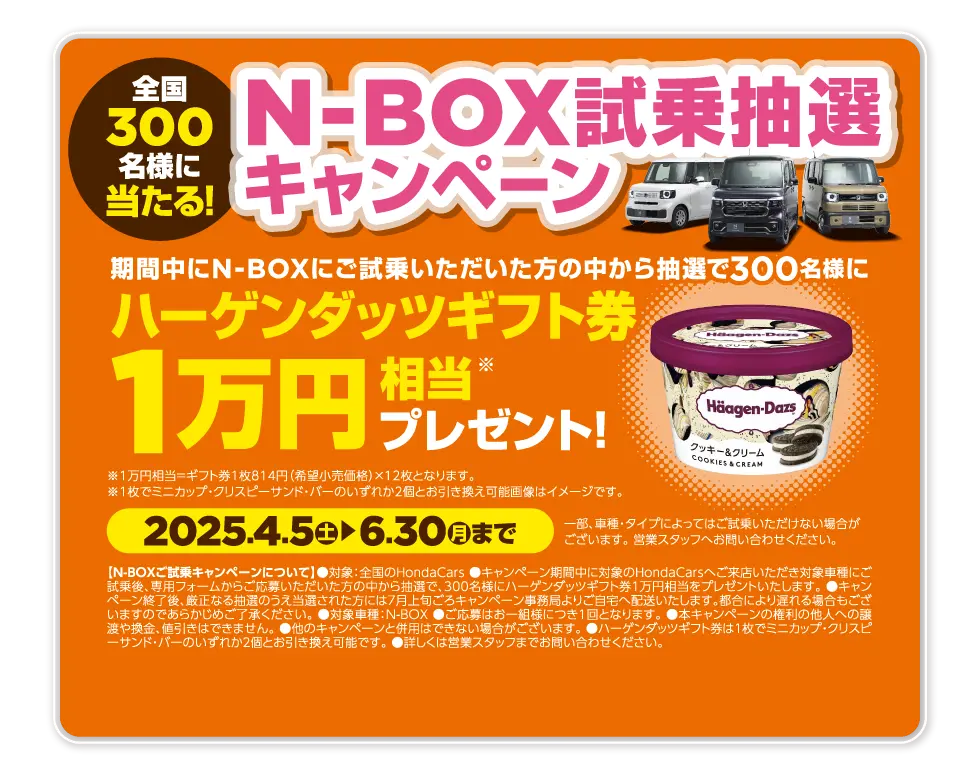 N-BOXLy[