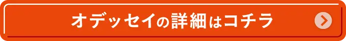IfbZC̏ڍׂ̓R`